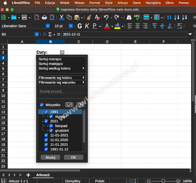 Rys. 2. Wiele formatów dat utrudnia pracę z filtrami - LibreOffice Calc kurs