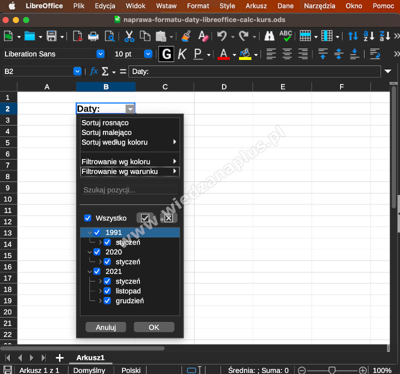 Rys. 3. Filtry przy jednym formacie w tabeli - LibreOffice Calc kurs