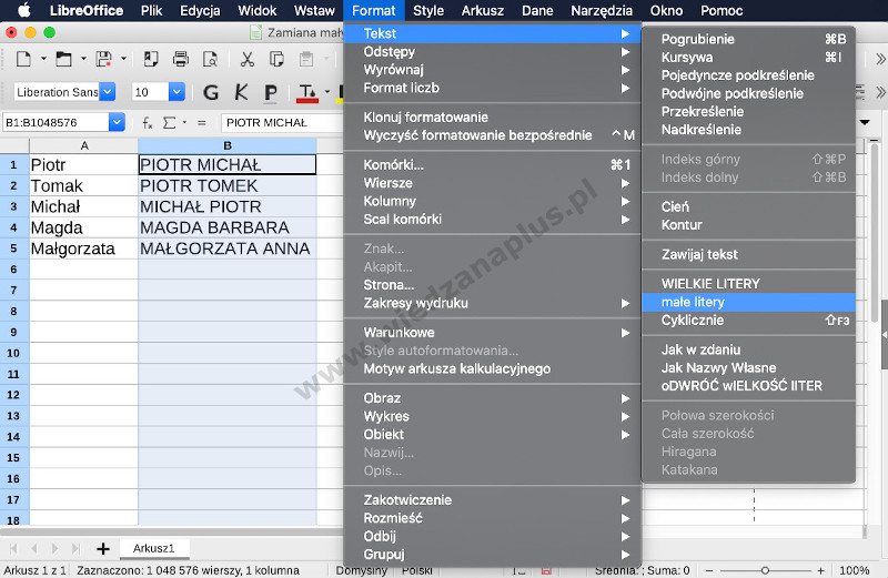 Rys. 3. Program Calc, pakiet LibreOffice zmiana na małe litery, krok 1/2