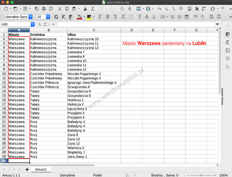 Rys. 1. Pakiet LibreOffice zamiana znaków w programie Calc, błędne dane